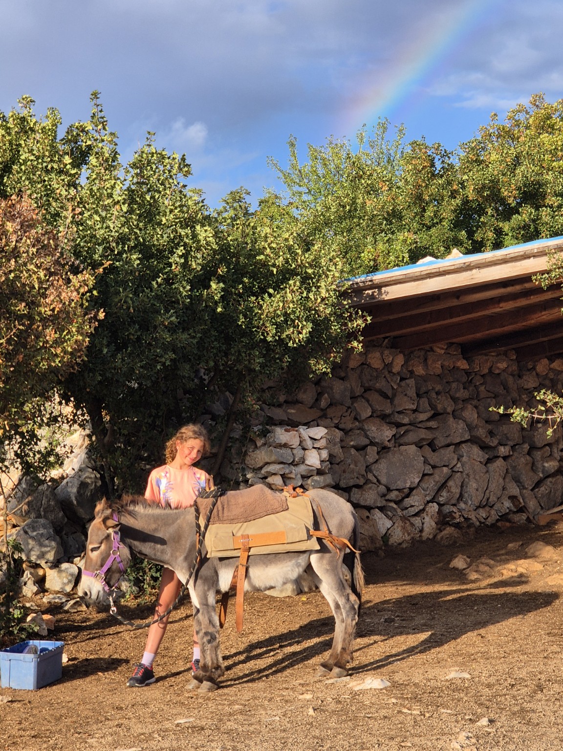 Der perfekte Sommerabend für Familien nahe Krk & Crikvenica
